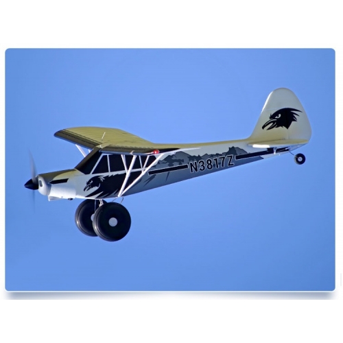 FMS PIPER PA-18 Super Cub 1700mm PNP + Floats + Gyro FMS REFLEX V2