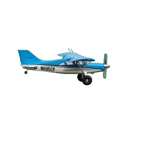 FMS 1500mm Maule PNP with Floats - FMS114PF