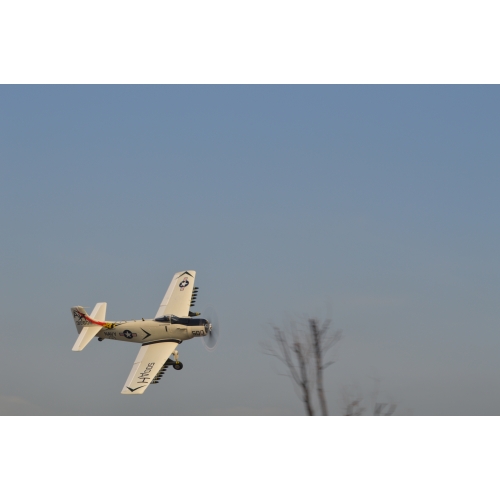 TOP RC Hobby Plane A1 Sky Raider 800MM PNP - White plane