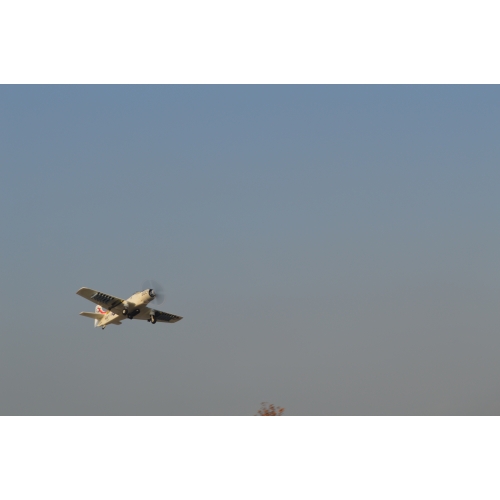 TOP RC Hobby Plane A1 Sky Raider 800MM PNP - White plane