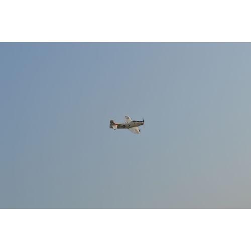 TOP RC Hobby Plane A1 Sky Raider 800MM PNP - White plane