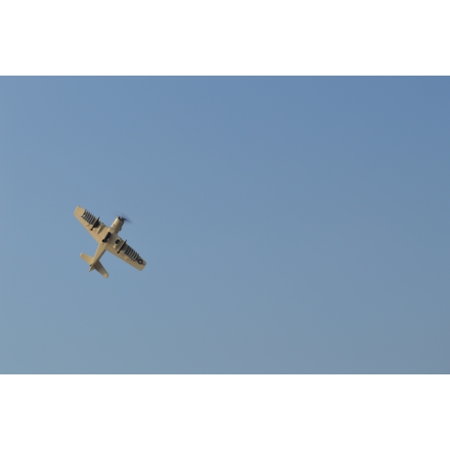 TOP RC Hobby Plane A1 Sky Raider 800MM PNP - White plane