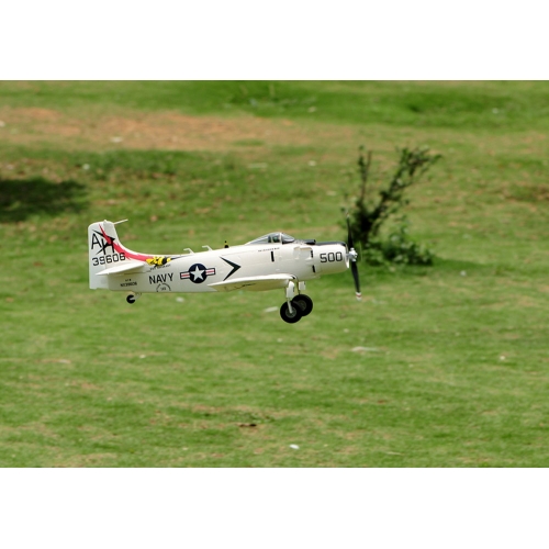 TOP RC Hobby Plane A1 Sky Raider 800MM PNP - White plane